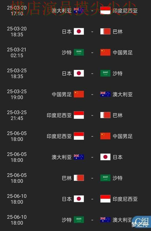 世界杯投注平台推荐平台排行直播怎么看？实战拆解给你答案（2026世界杯）